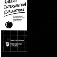 Intern Intervention Evaluation